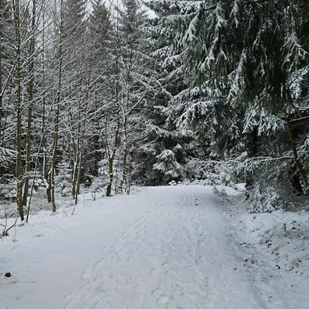 Apartment Bergidylle- Saniert Und Hochwertig Mit Massivholzmoebeln, Sonnenterrasse In Der Natur, Fussgaengig Ins Zentrum *