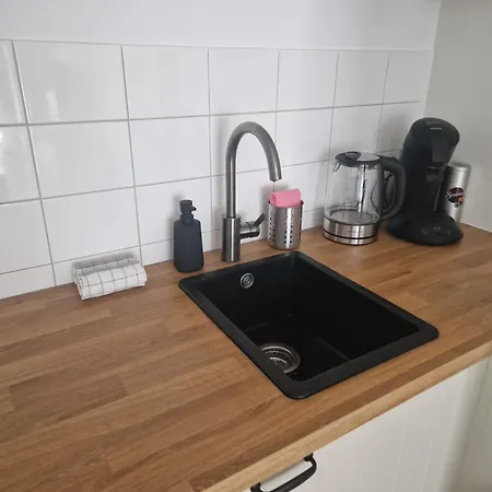 Apartment Bergidylle- Saniert Und Hochwertig Mit Massivholzmoebeln, Sonnenterrasse In Der Natur, Fussgaengig Ins Zentrum Altenberg (Erzgebirge)
